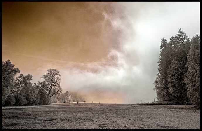 2024-01-14_14-03-19_DSC_0054_01