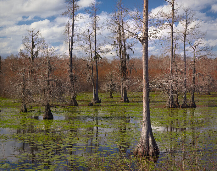 IMG_7144-IMG_7150-social