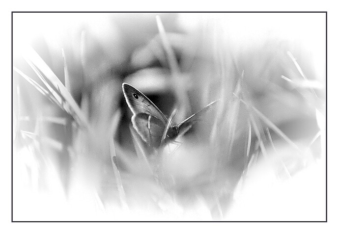 DSC04818