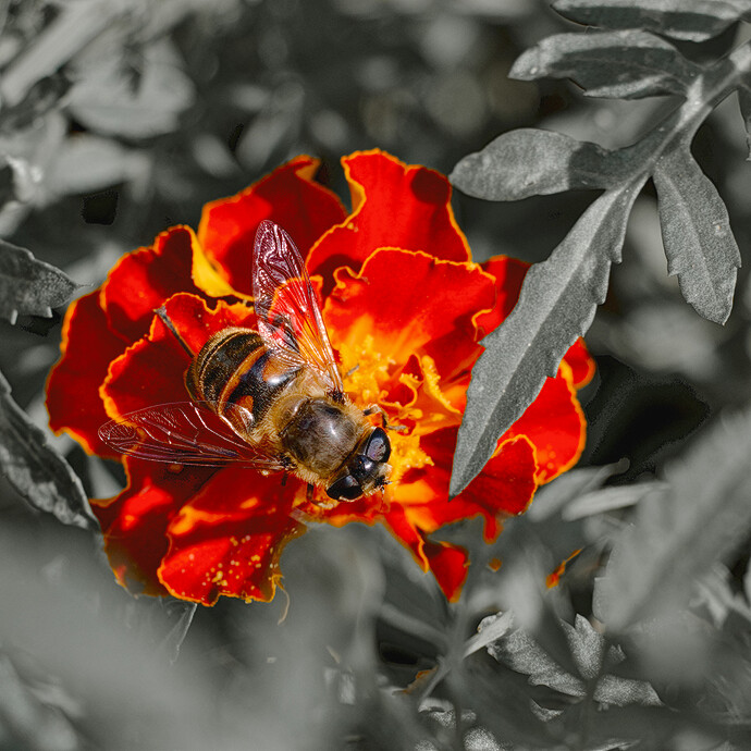 FH9A1214_02