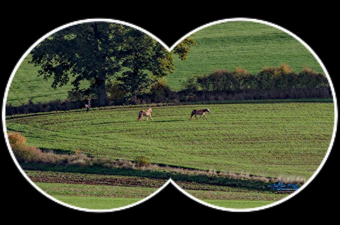 20251108_251018_094402_DSC05235_03