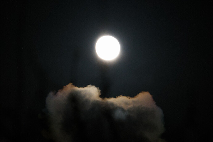 20260402-222518-DSC_0328-0.NEF