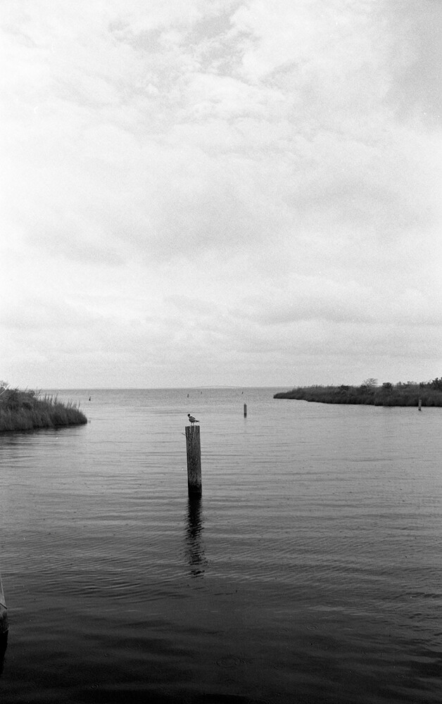 film_id18267