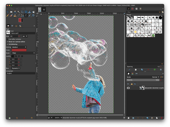 withoutbg-gimp