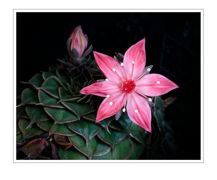 S7R09576