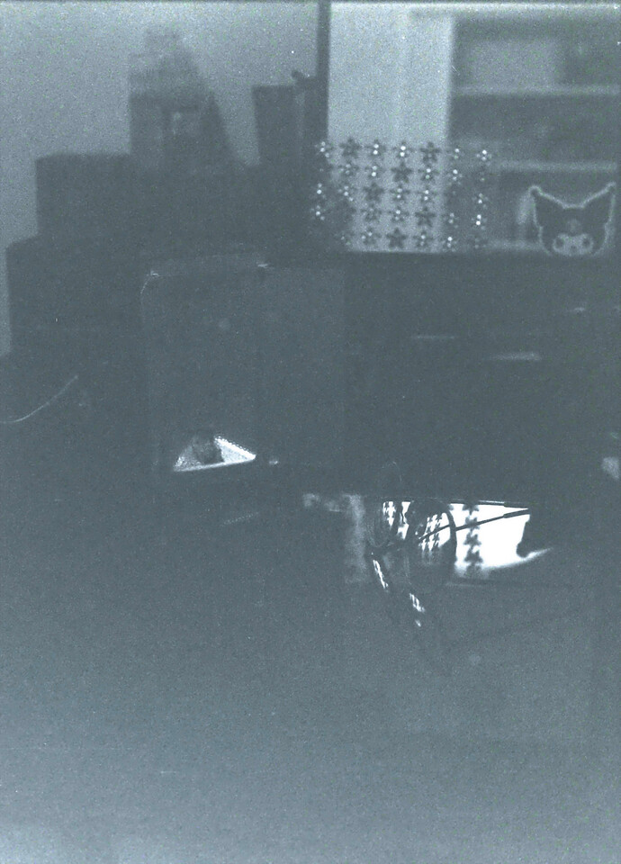 24-11-22_24-12-31_HexaMono400_OlympusPenF_21_GIMP (1)