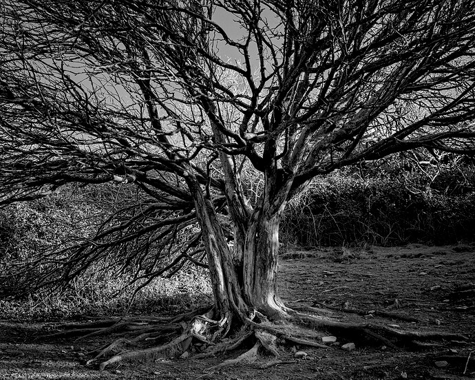 2022-01-31-11.58.58.0_01