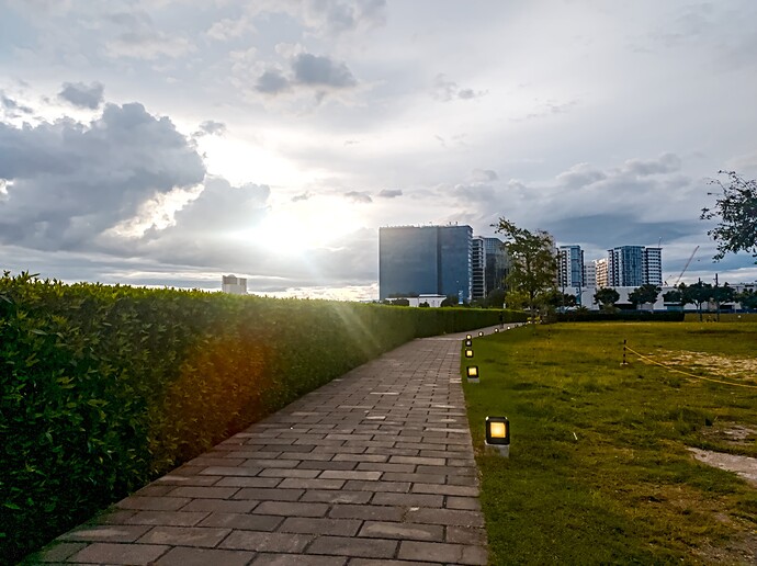 IMG_20250907_171053.edited-with-darktable-5.3