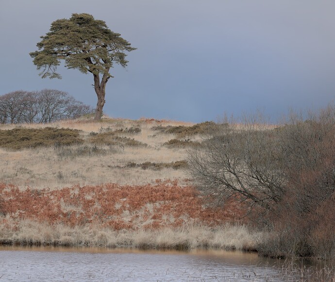 play-55216-1-ktxux-1