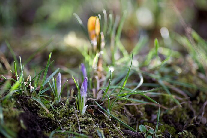 260228_164725_DSC08913