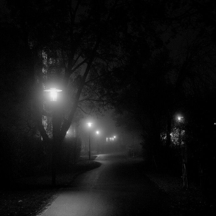 2025-12-09-18-22-52-P1080559_02