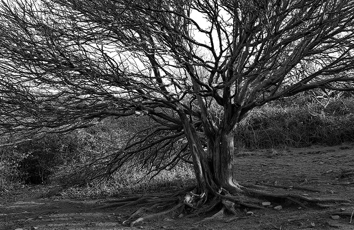 2022-01-31-11.58.58.0