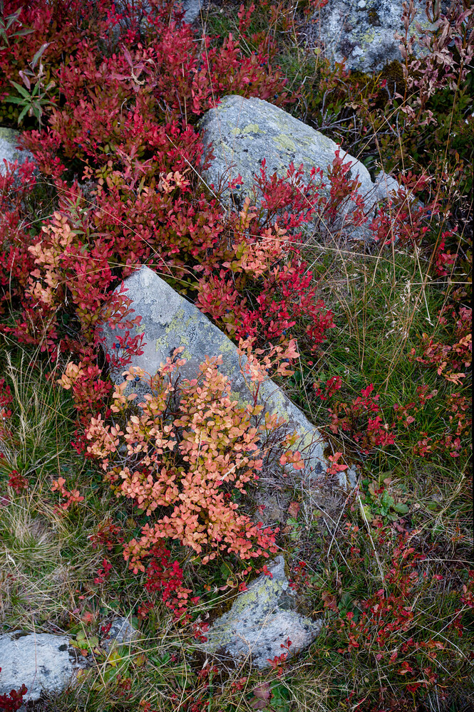 20250913_2025-09-13 nendaz_0091