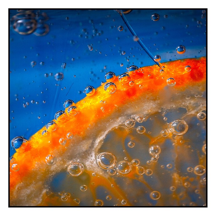 2026-01-08_Jan At Home_101_01