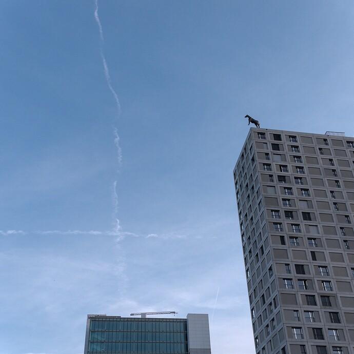 2026-05-02-19-23-56-P1090963