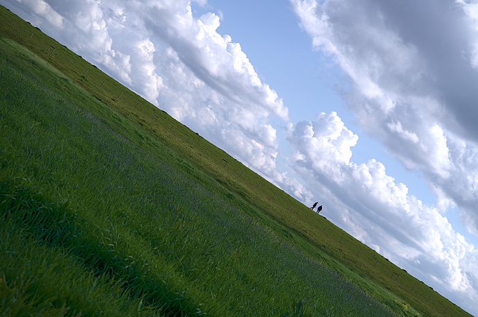 20190509_4136_Rheindamm_Horizont