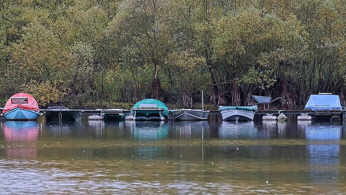 Bayer_Pattern_at_360mm