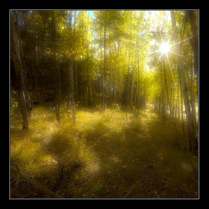 B0001474_0