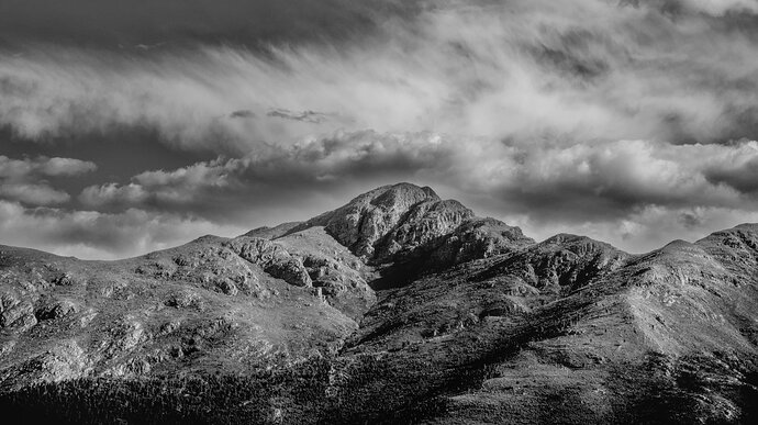 _DSC0613