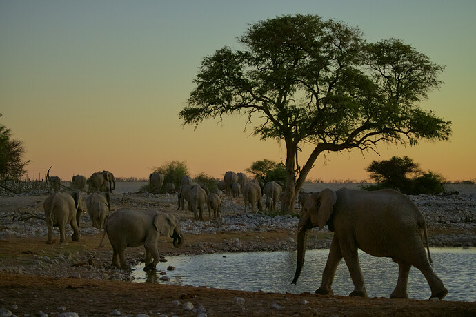 6W4A5041_art_gimp_gmic_edit