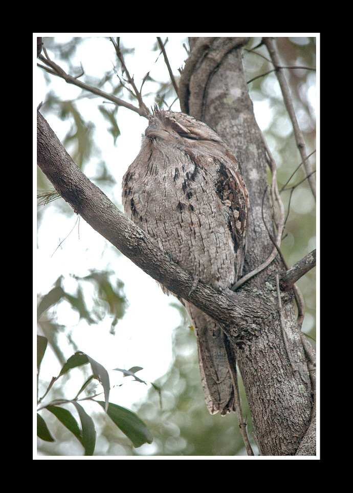 2016-05-27_16-36-39DSC_3861
