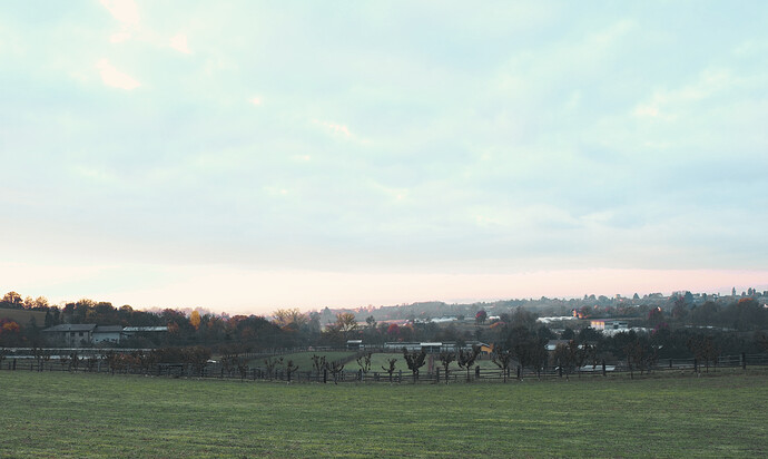 20221125_081712_0057editcut