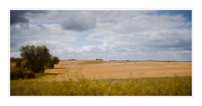 DSCF111514_0
