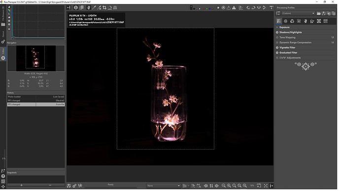 DSCF1877 magenta stik i nyere version af RT