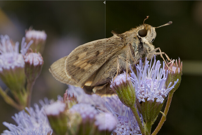 13-after-tone-and-sharpen