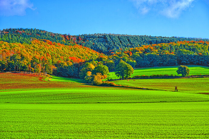 Crisp_Autumn_Morning