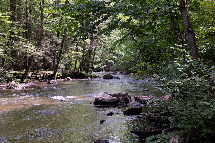 Green yellowish cast _6I_8176_dt