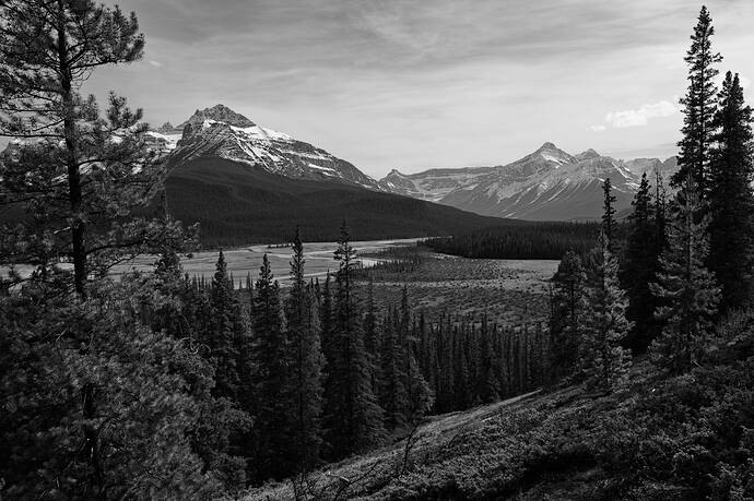 2025-05-25_16-38-18-1