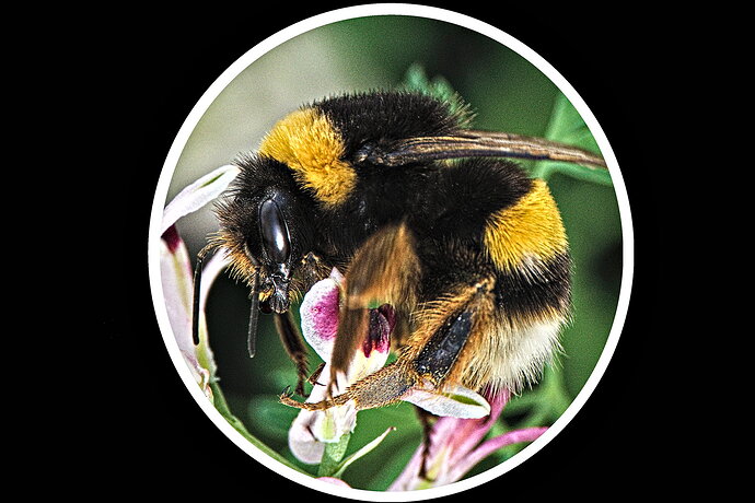 20220215_DSCF5262-RT