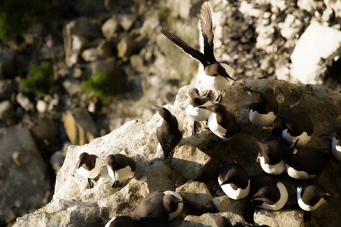 Reduce details, boost global contrast