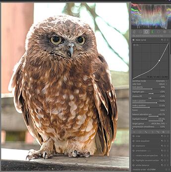 Screenshot from 2026-04-13 21-39-20