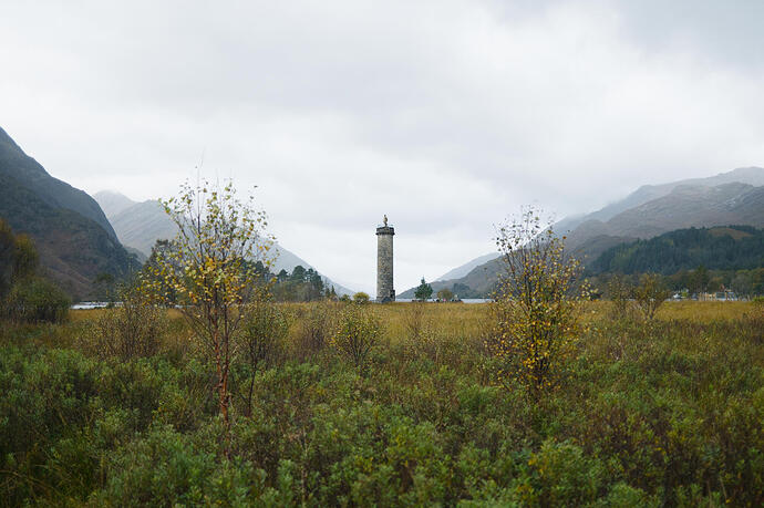 20251009_112529__DSF3517