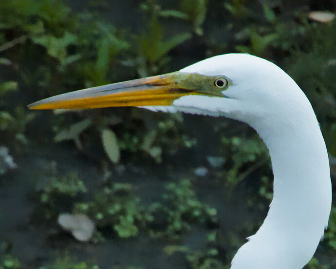DSC_6163_02