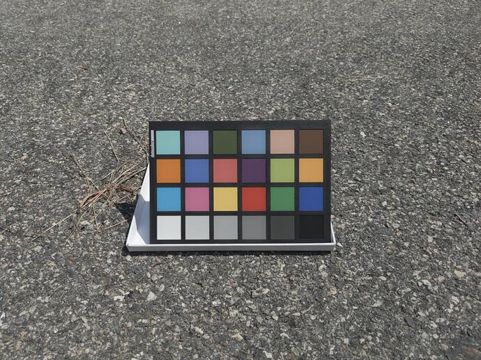 daylight_single