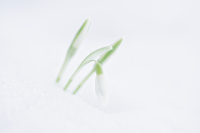 260216_132312_DSC08577_dt_0_sm