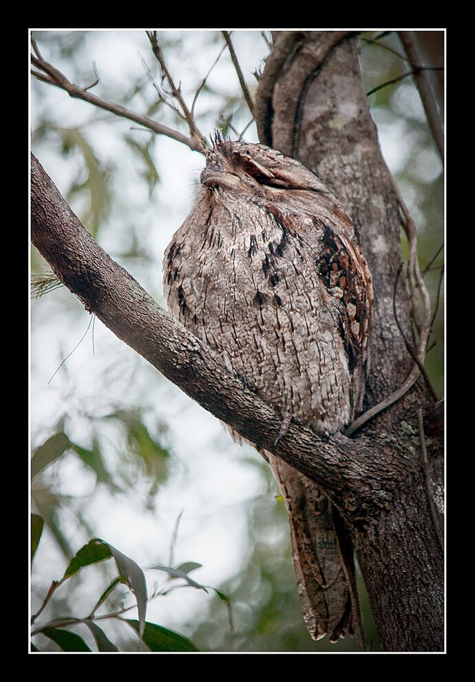 2016-05-27_16-36-39DSC_3861_03