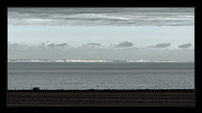 _K317529_3
