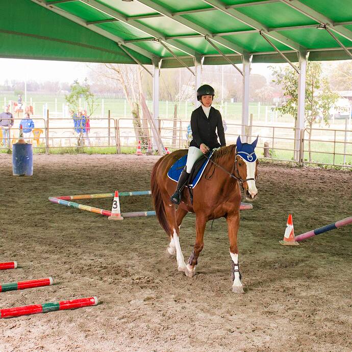 IMG_6624 Bitless_I_2023_1