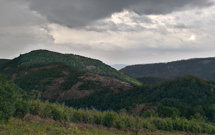 IMG_6339_2025_1200x754