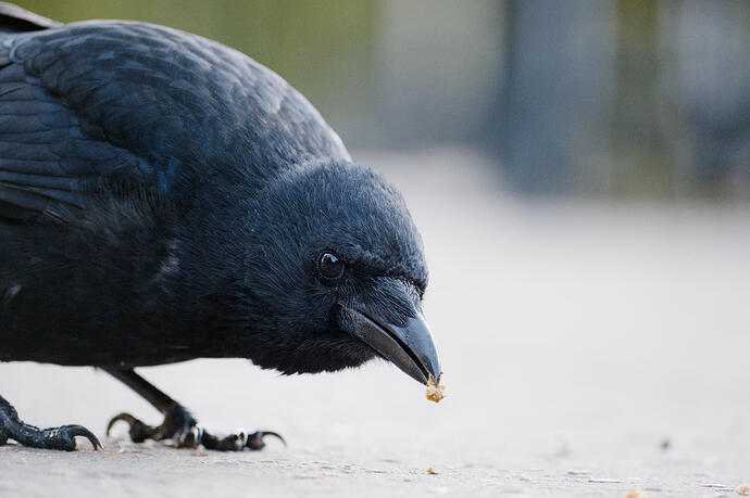 20251012_085715_DSCF1025