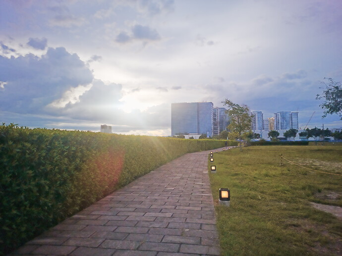 IMG_20250907_171053.edited-with-rawtherapee