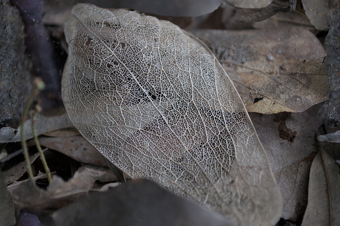 DSC_0228_smls
