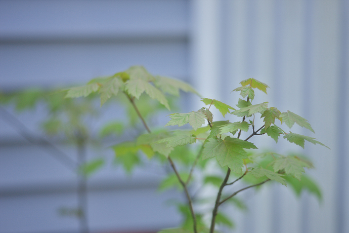 CVAC7993_1Yj8Rgl-output