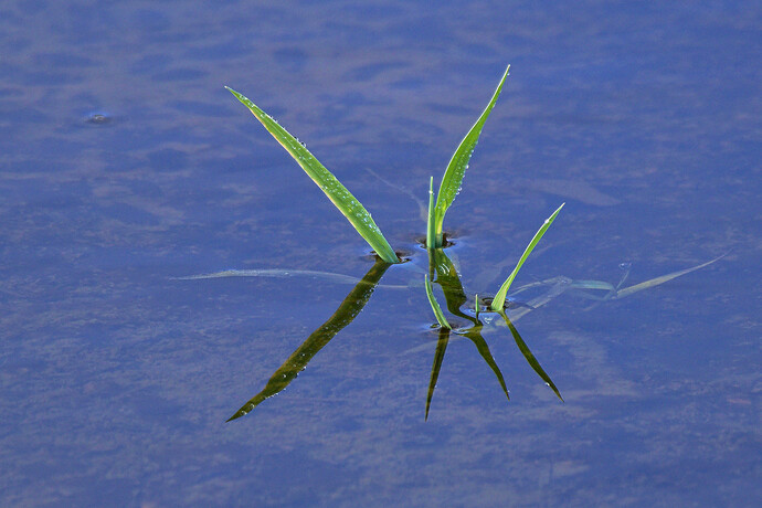 20251211_132149_57-1