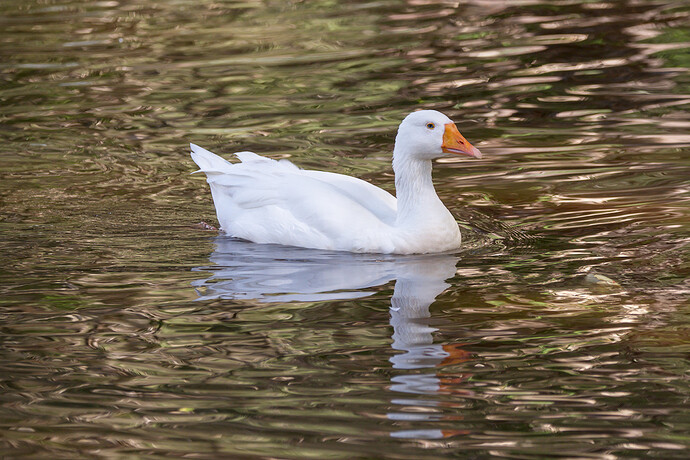 2026-01-09_16-08-44.56_DSC0897