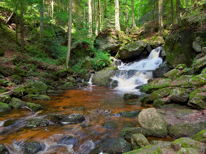 P6303430
